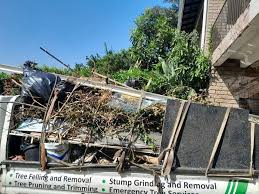 Best Dumpster Rental Services  in Farr West, UT