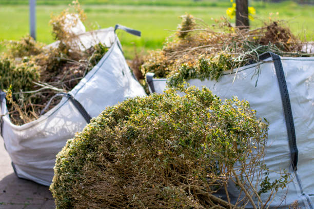 Best Construction Debris Removal  in Farr West, UT